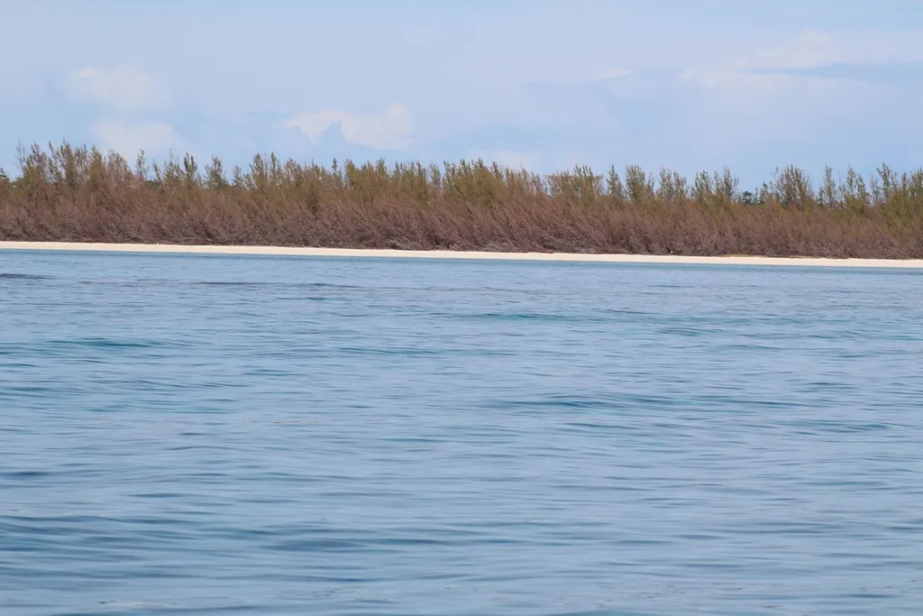 Breathtaking Large Beachfront Tract