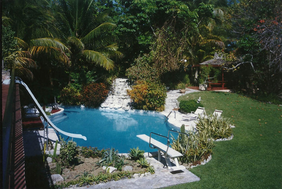 Paradise Overdose