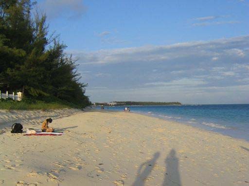 Beachfront Acreage