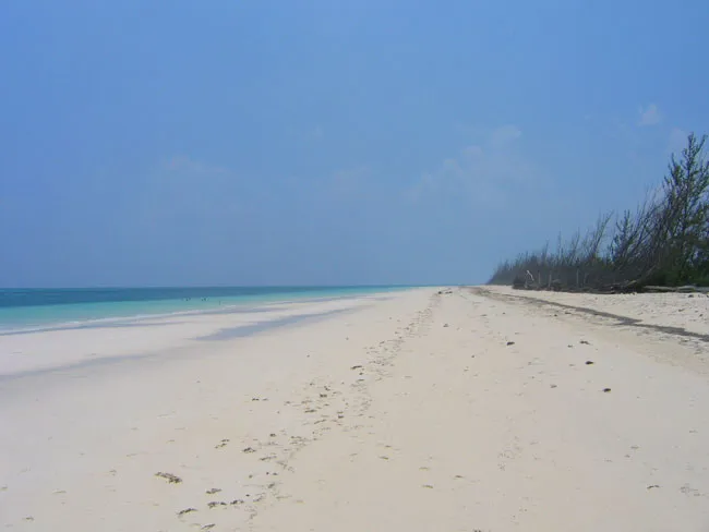 Breathtaking Large Beachfront Tract