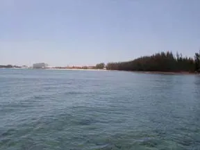 Beachfront Tract in Bell Channel