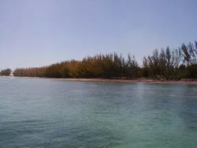Beachfront Tract in Bell Channel
