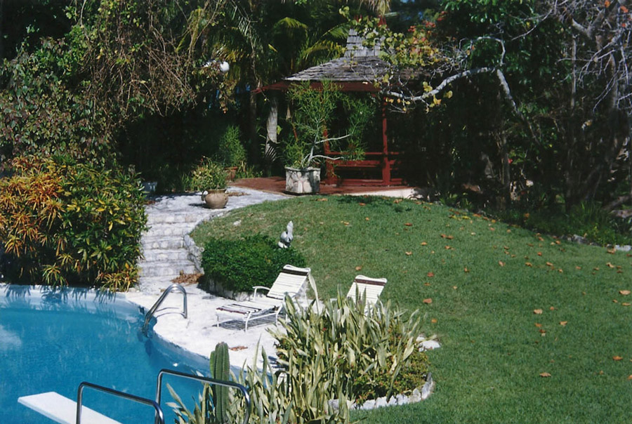 Paradise Overdose