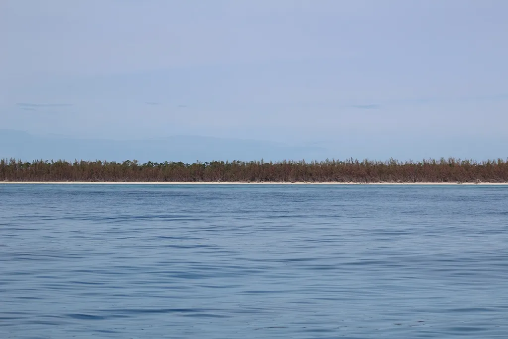 Breathtaking Large Beachfront Tract