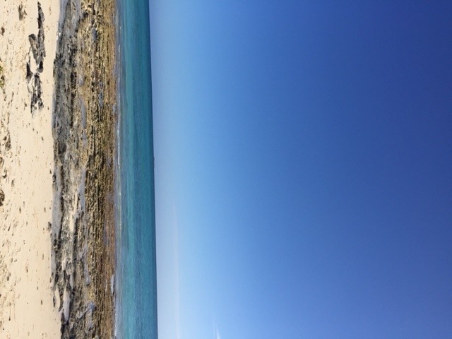 200-Acre Beachfront Property