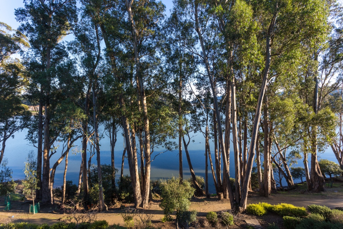 70 De Silva Island Dr