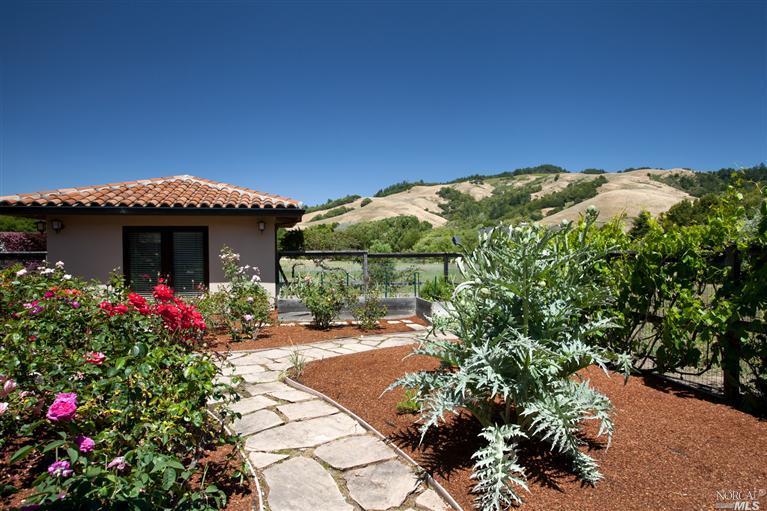 5 Nicasio Creek