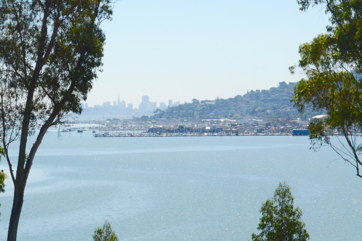 52 De Silva Island Dr