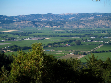 1844 Oakville Ridge Road