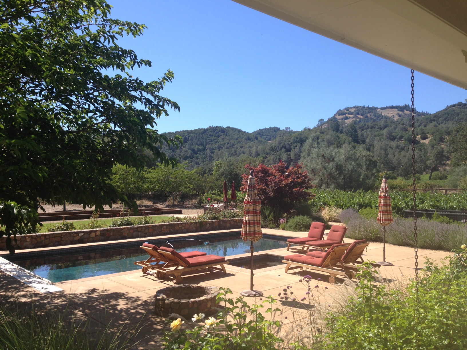 4177 Silverado Trail