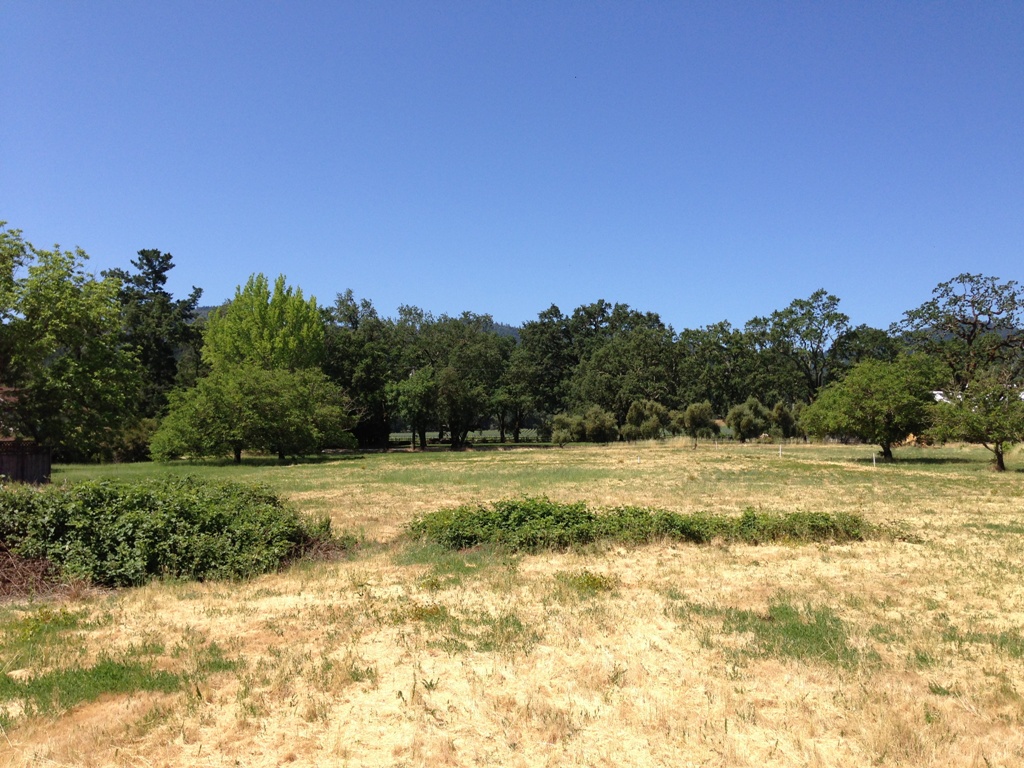 1090 Bale Lane