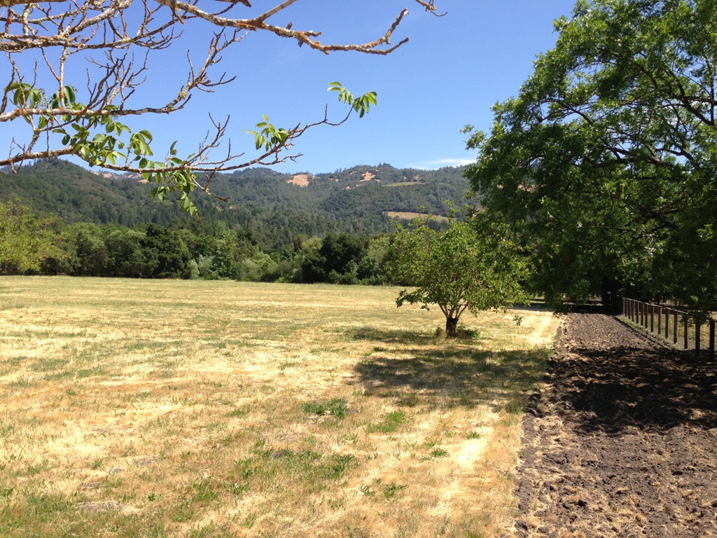 1090 Bale Lane