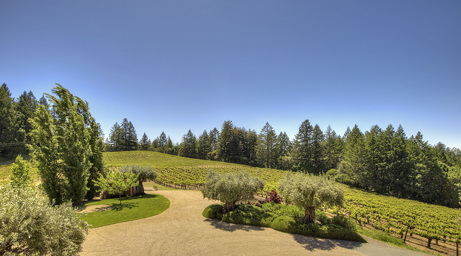 5800 Petrified Forest Road