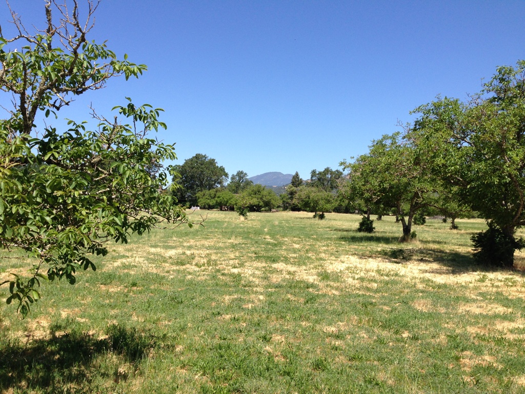 1090 Bale Lane