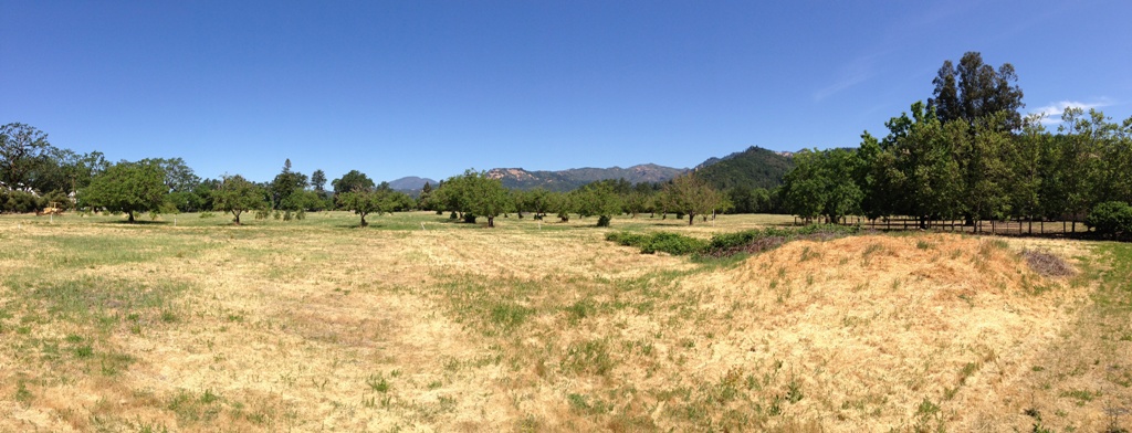 1090 Bale Lane