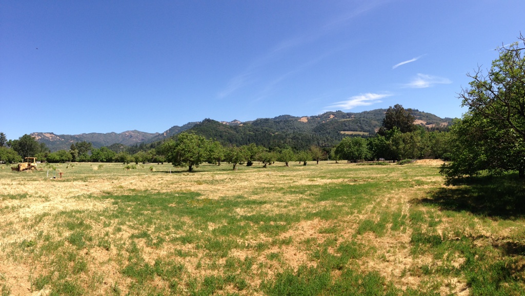 1090 Bale Lane
