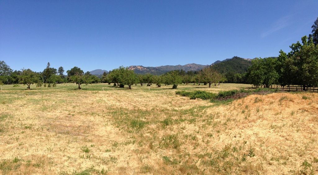 1090 Bale Lane