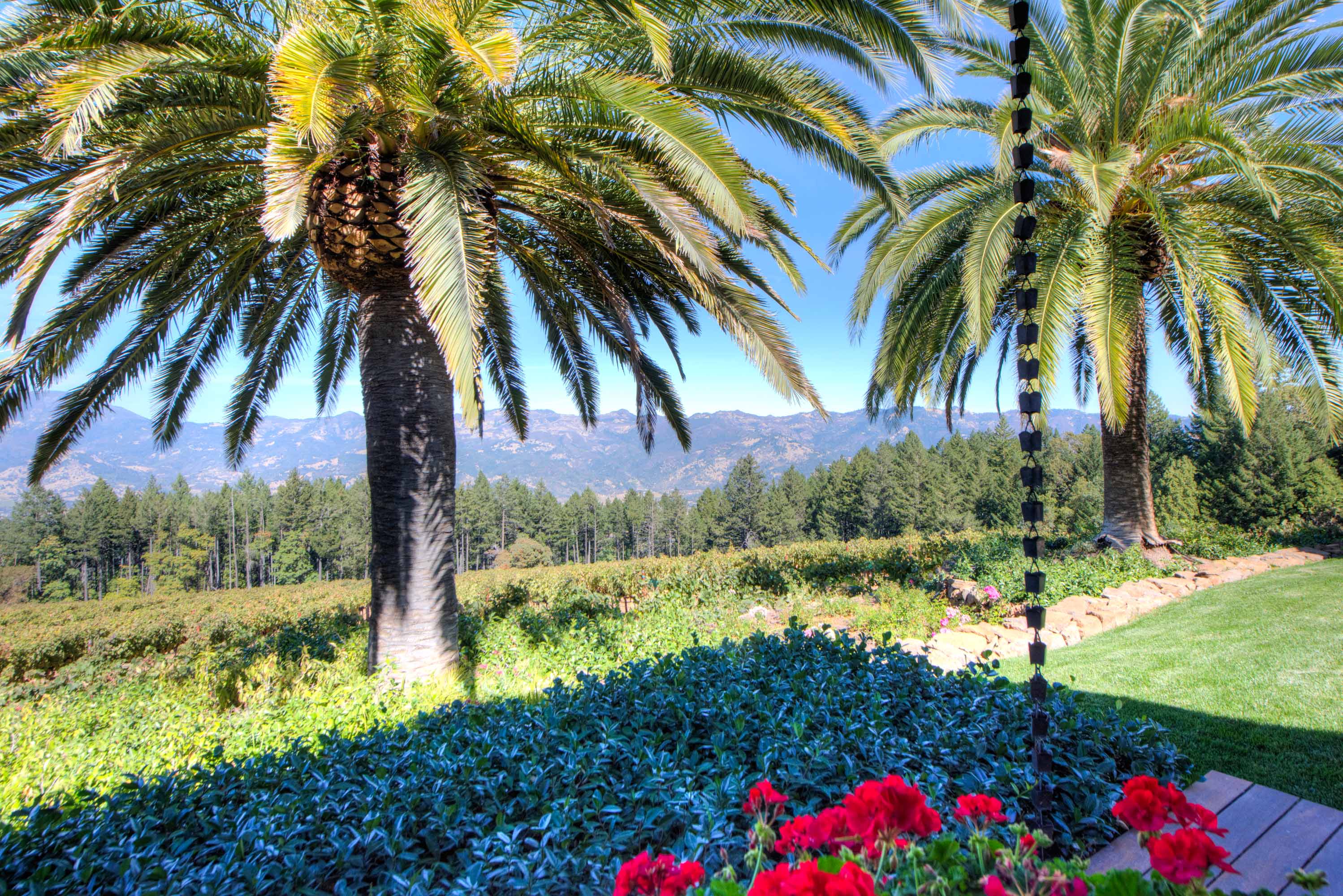 2121 Diamond Mountain Road