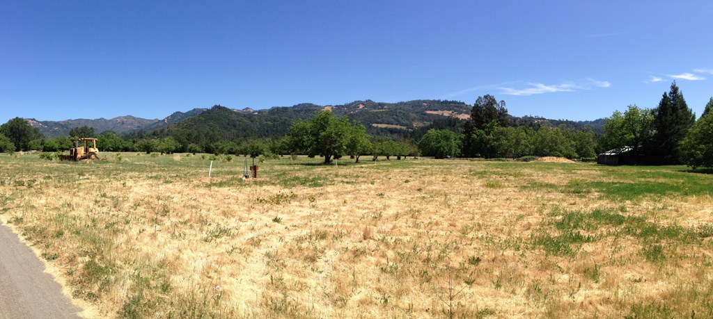 1090 Bale Lane