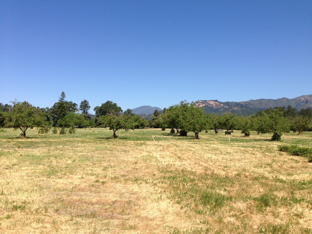 1090 Bale Lane