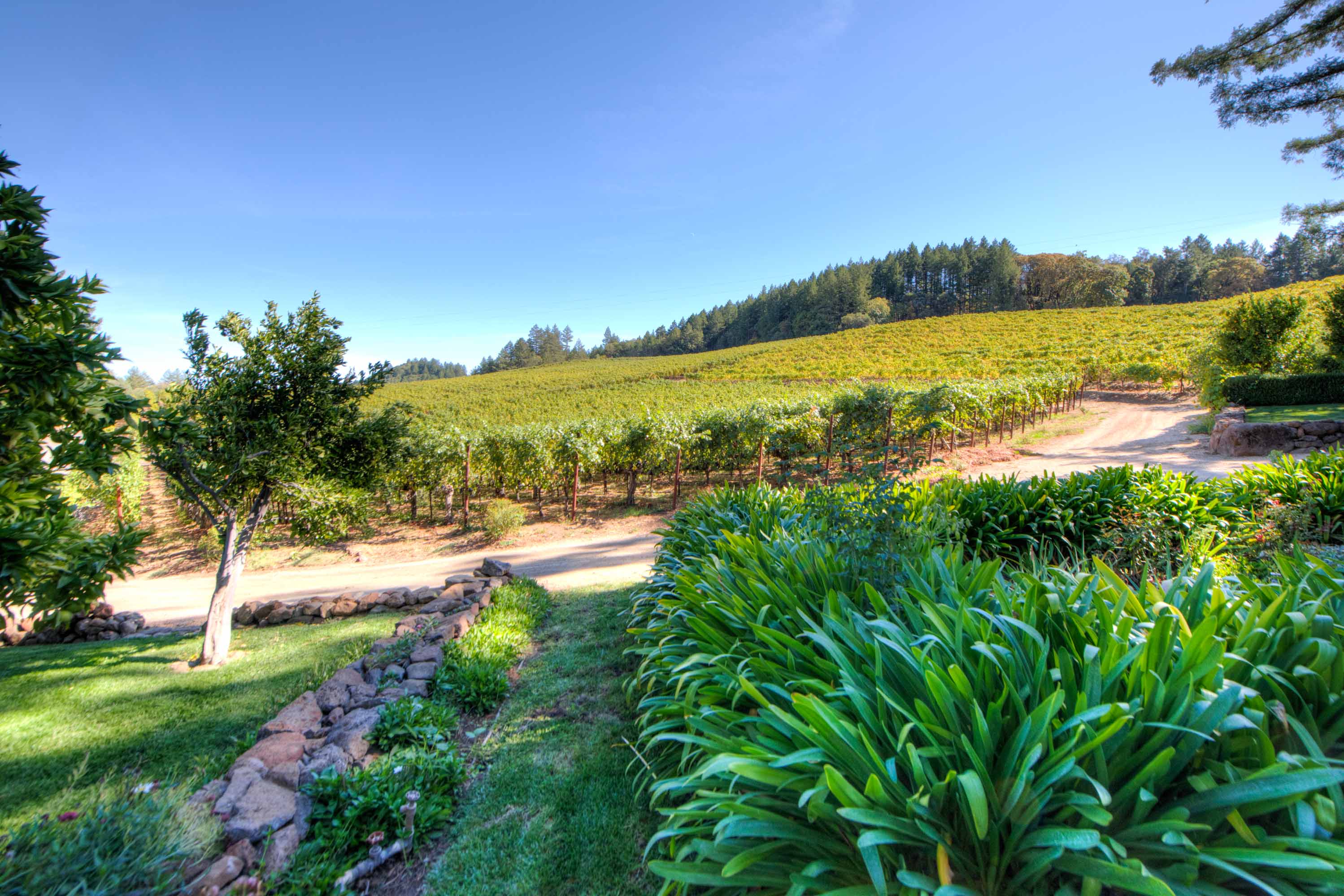 2121 Diamond Mountain Road