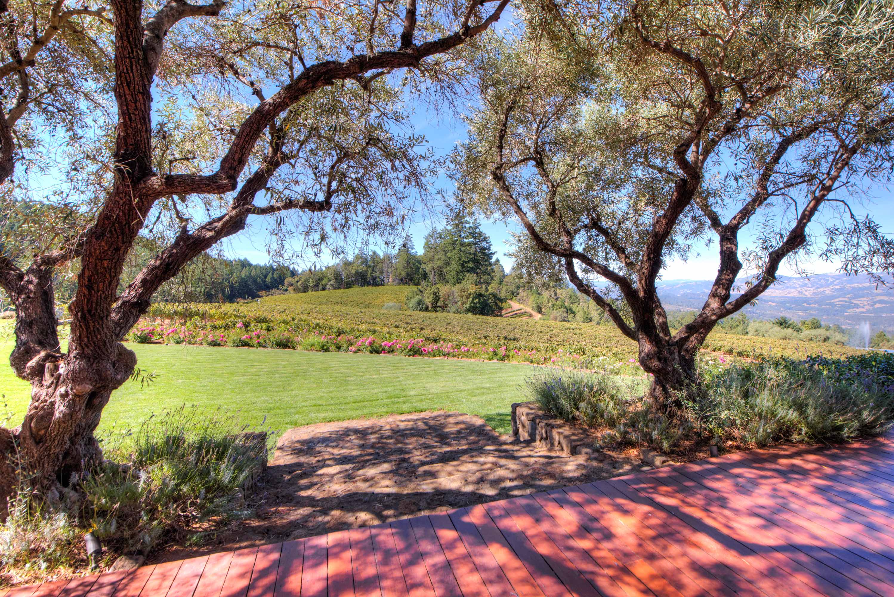 2121 Diamond Mountain Road