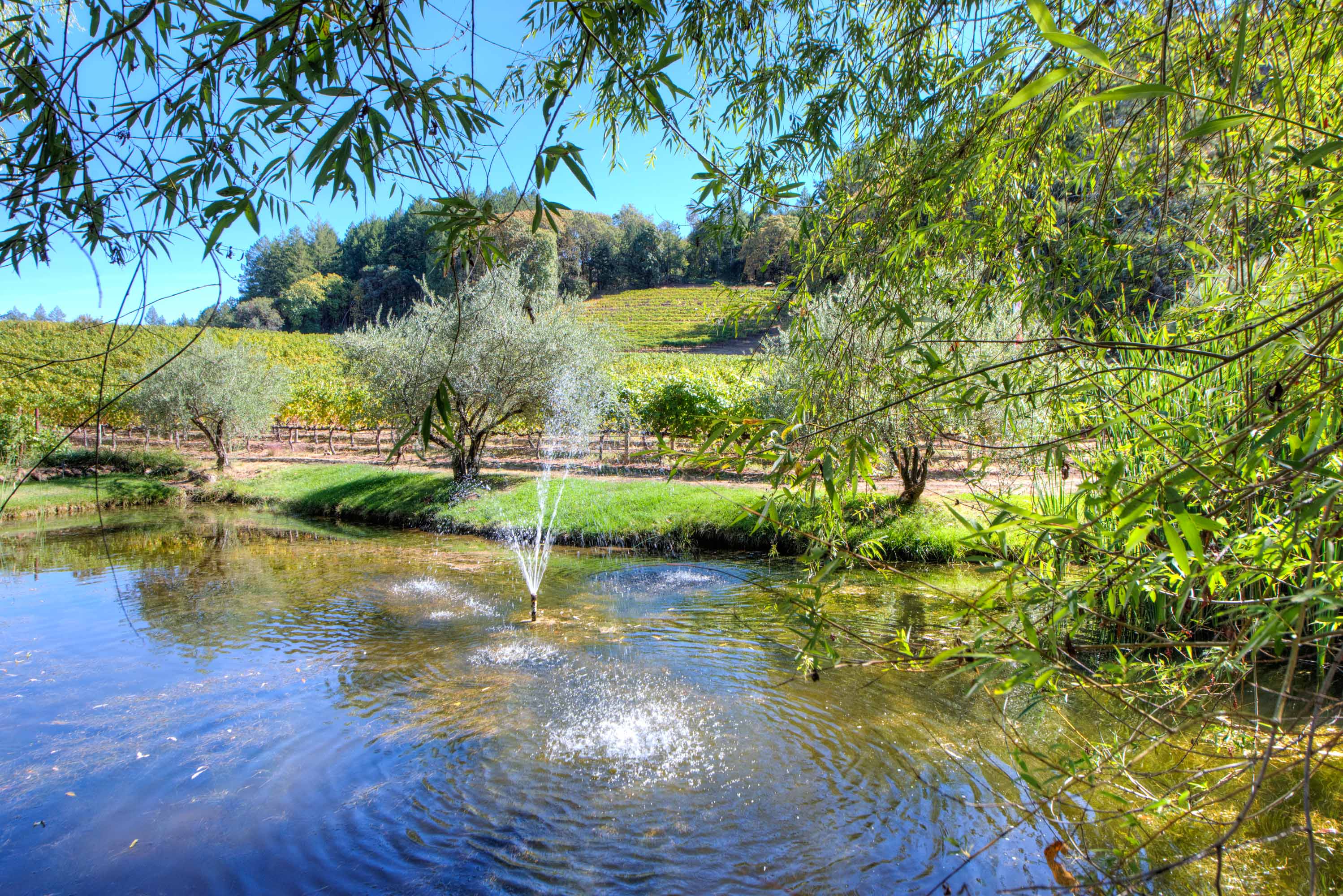 2121 Diamond Mountain Road