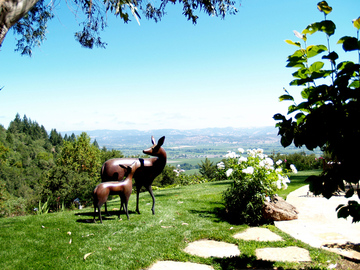 1844 Oakville Ridge Road