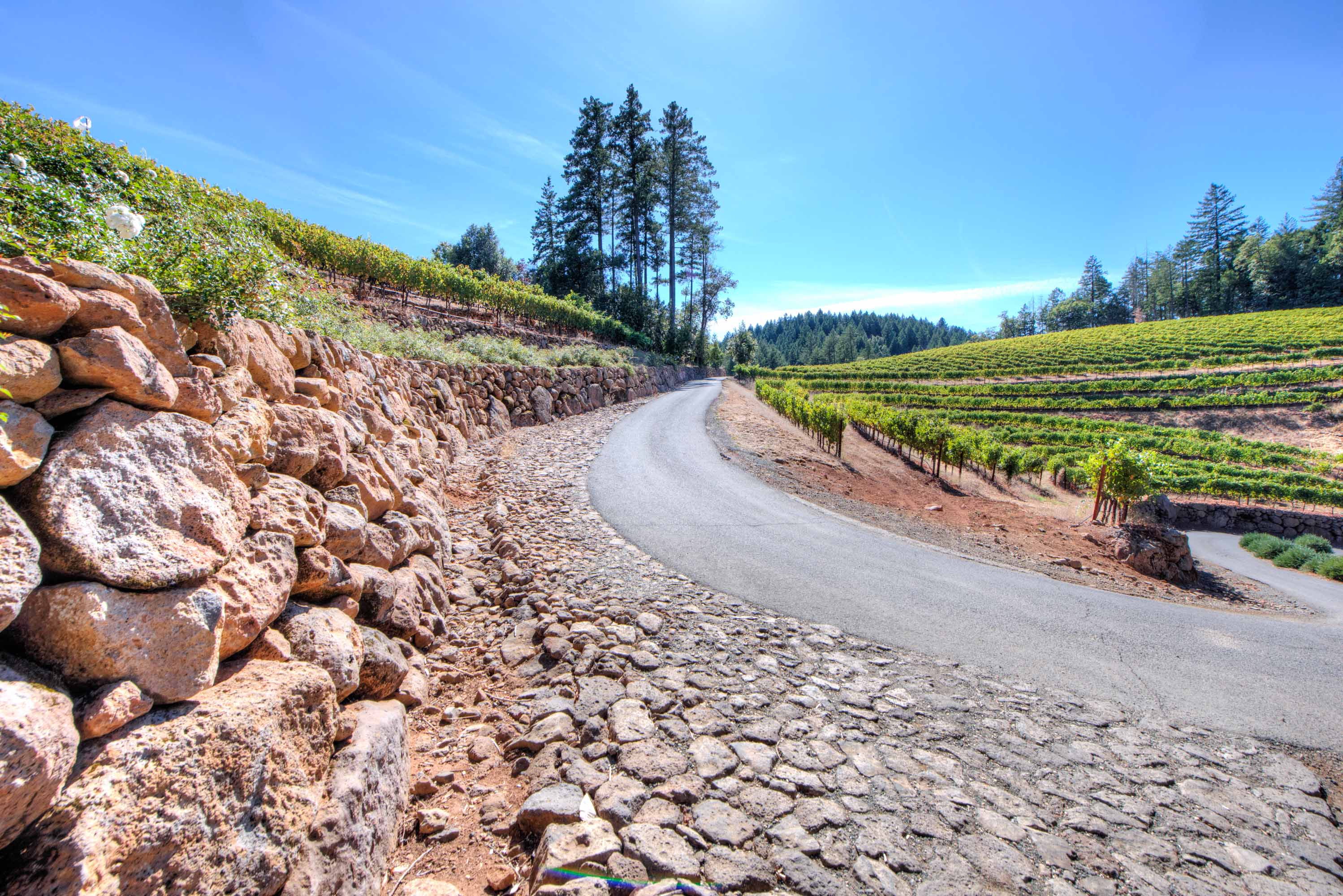 2121 Diamond Mountain Road