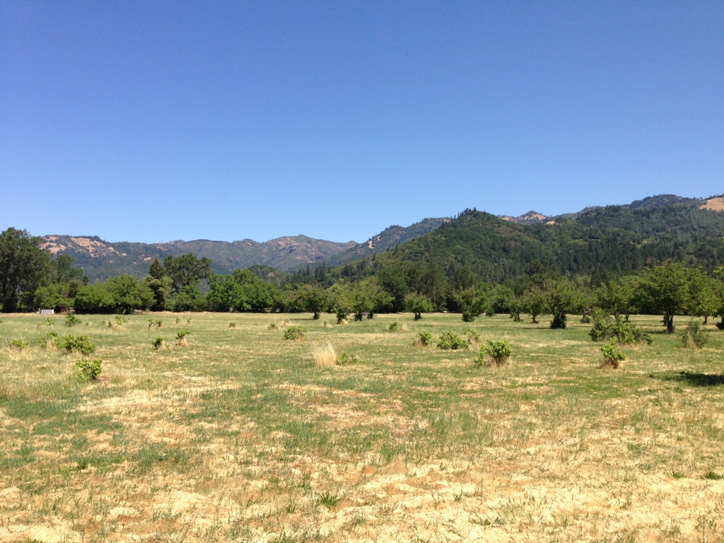 1090 Bale Lane