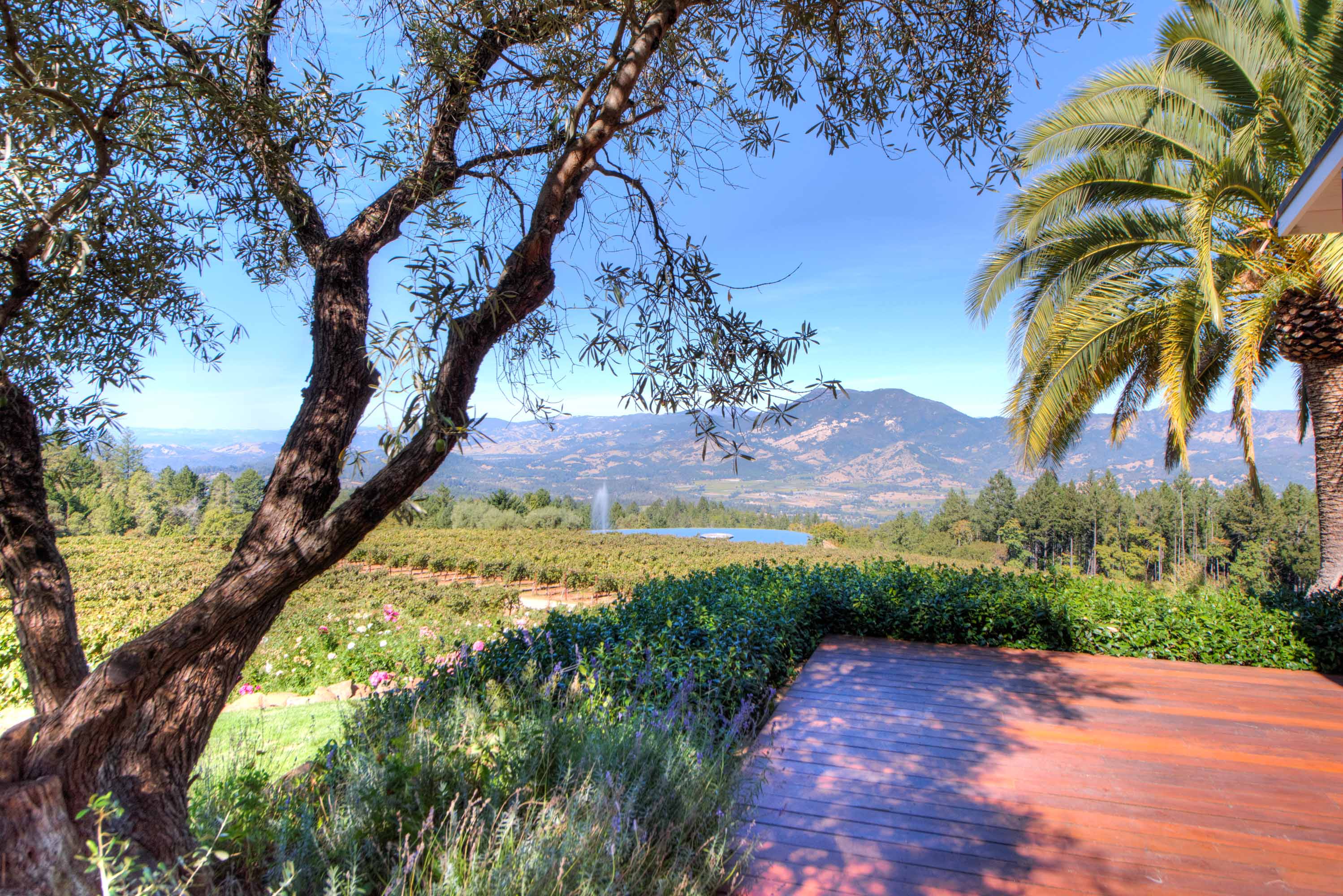 2121 Diamond Mountain Road