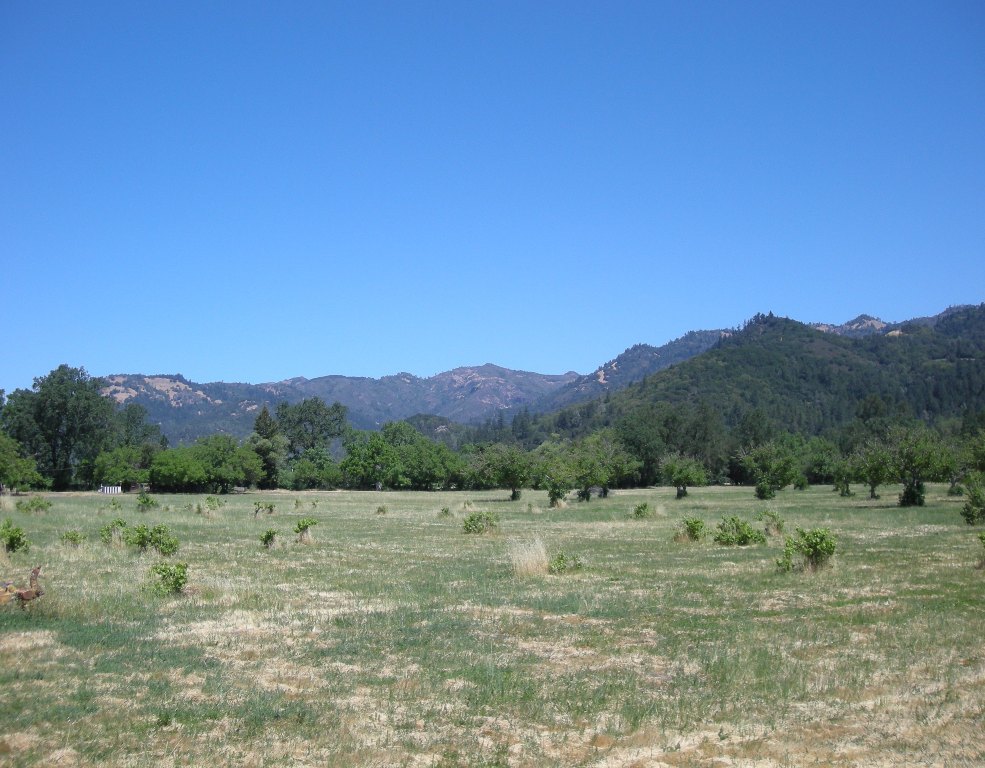 1090 Bale Lane