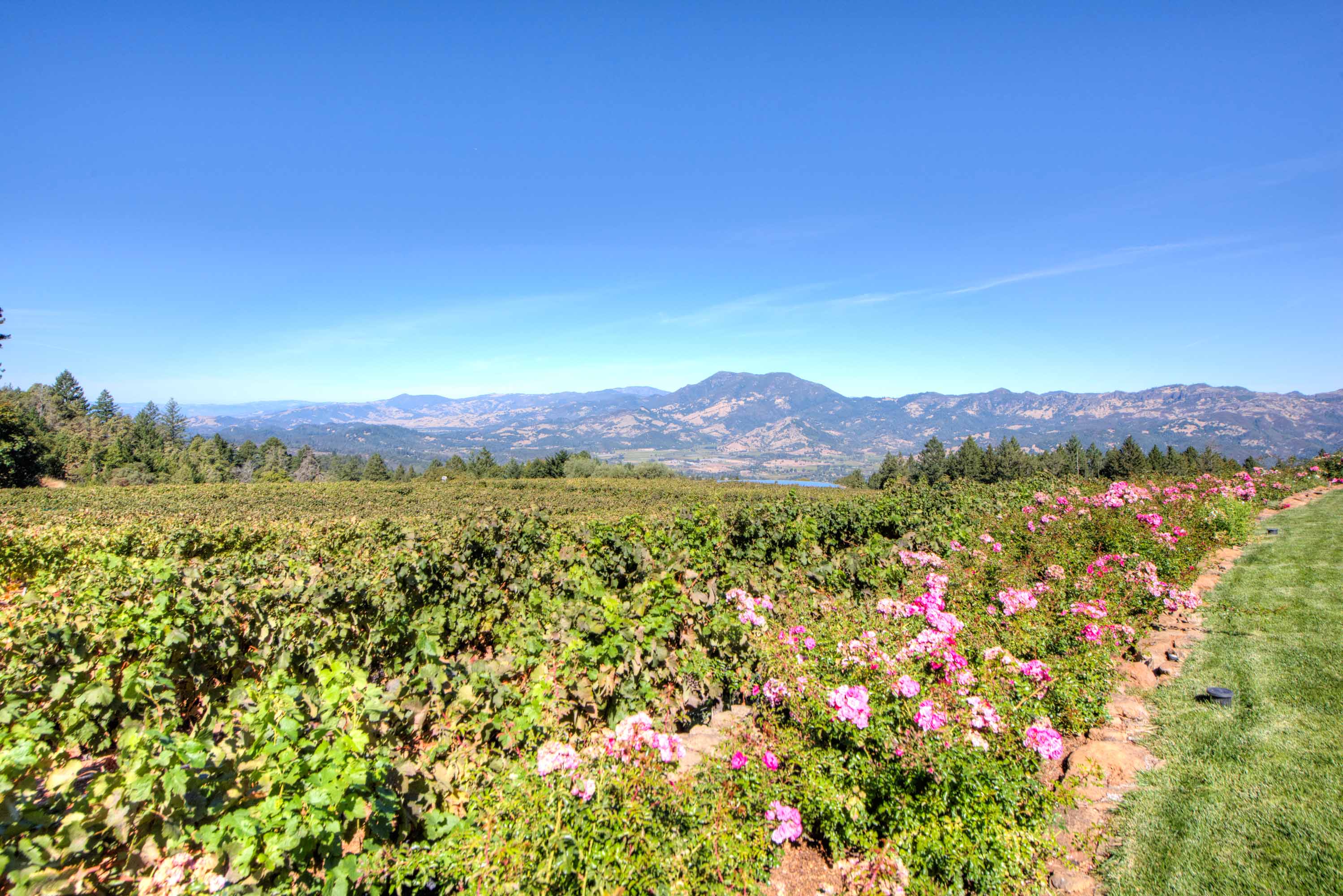 2121 Diamond Mountain Road