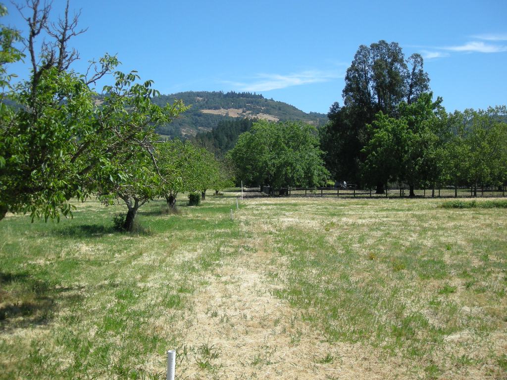 1090 Bale Lane