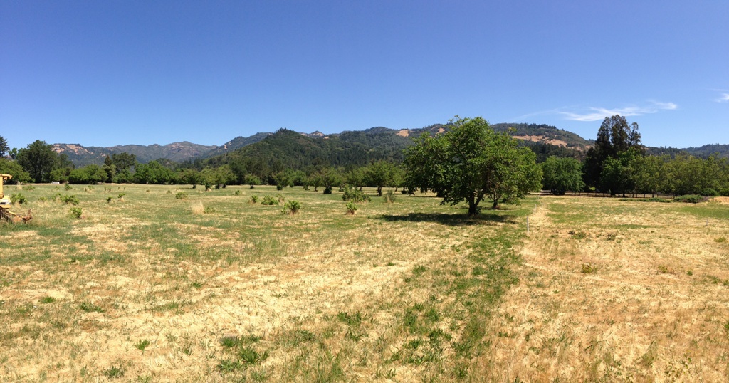 1090 Bale Lane