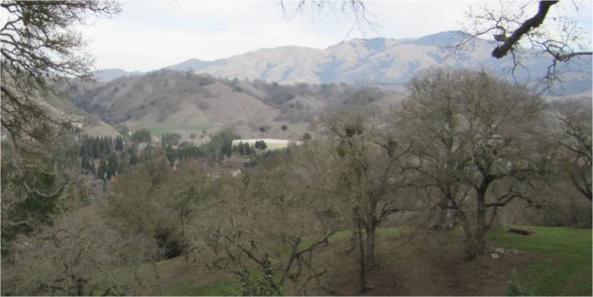740 EL PINTADO RD