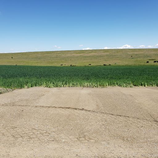 Parcel 3  TBD Jessup Road