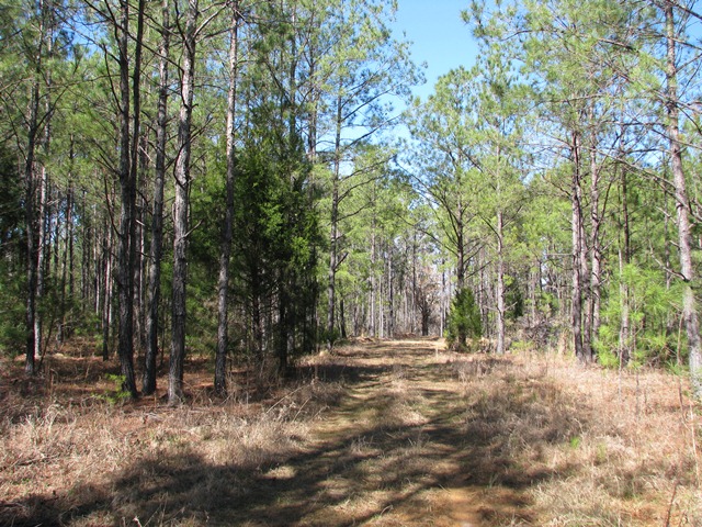 Hwy 41