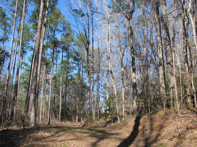 Hwy 41