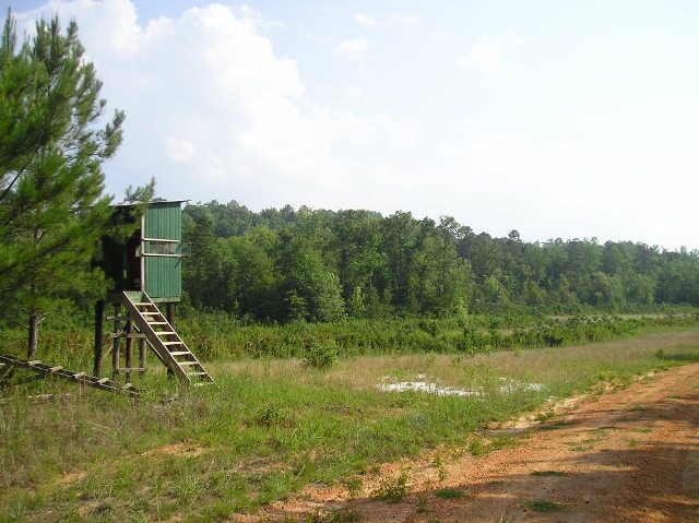 Old Scotland Rd