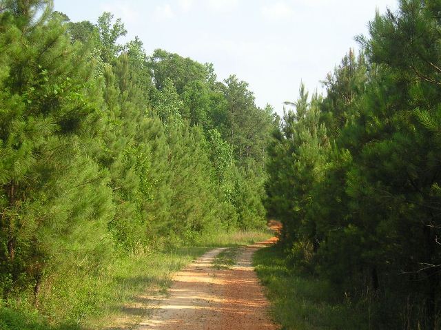 Old Scotland Rd