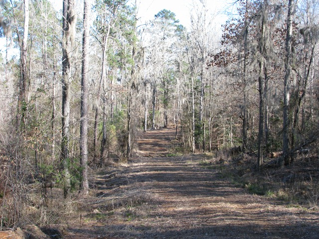 Hwy 41