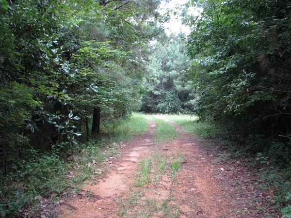 Co. Rd. 2, Wilcox Co., Al