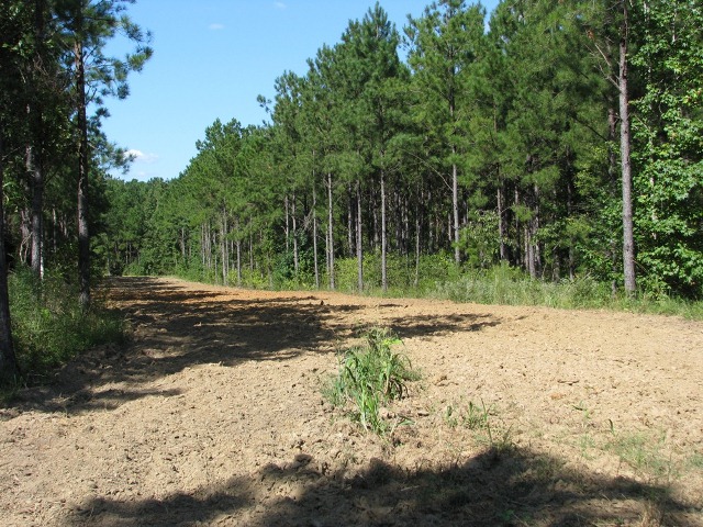 Hwy 28
