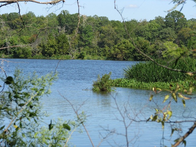 Hwy 28