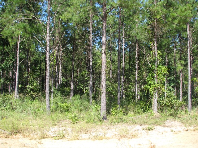Hwy 28