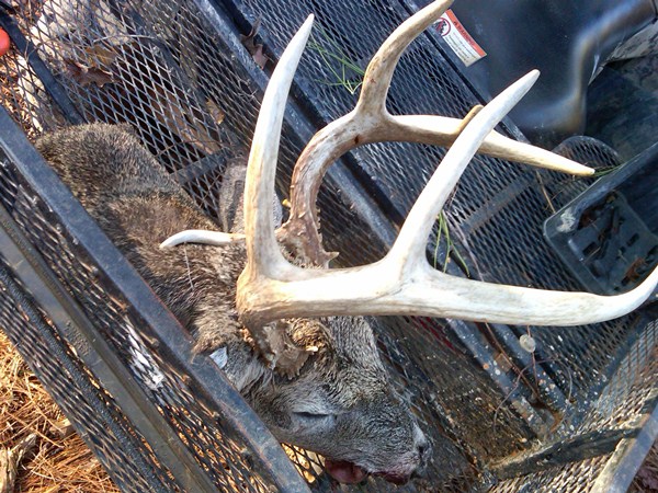 Co. Rd. 2, Wilcox Co., Al