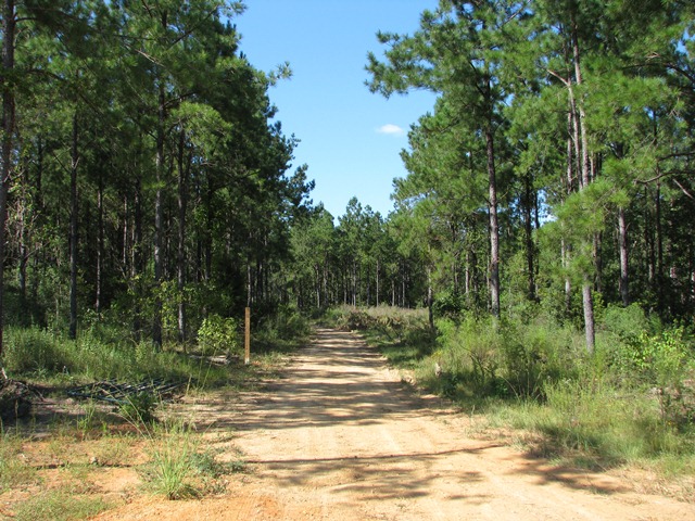 Hwy 28