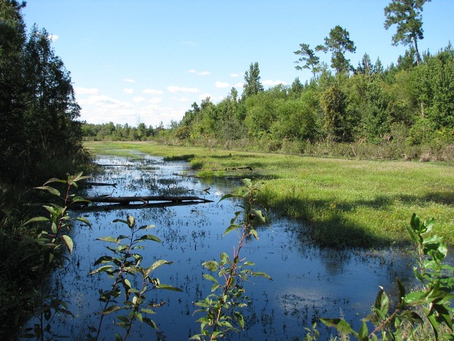 Hwy 28