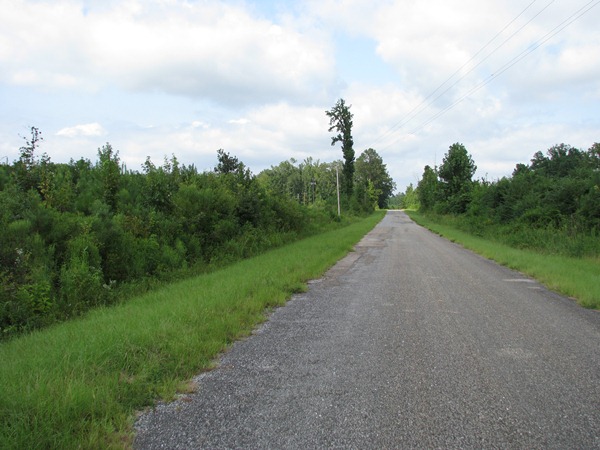 Co. Rd. 2, Wilcox Co., Al